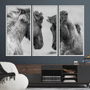 White Horses Wall Art Canvas Print