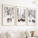 Winter Animals Wall Art Set of 3. Buffalo, Deer, Goat by Wall Art Set