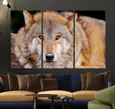 Wild Wolf Wall Art Canvas Print, Framed Canvas Print, Modern by MyGreatCanvas | Canvas Wall Art Prints | Photo Prints & Wall Decor