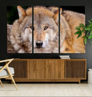 Wild Wolf Wall Art Canvas Print, Framed Canvas Print, Modern by MyGreatCanvas | Canvas Wall Art Prints | Photo Prints & Wall Decor