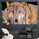 Wild Wolf Wall Art Canvas Print, Framed Canvas Print, Modern by MyGreatCanvas | Canvas Wall Art Prints | Photo Prints & Wall Decor