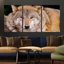 Wild Wolf Wall Art Canvas Print, Framed Canvas Print, Modern by MyGreatCanvas | Canvas Wall Art Prints | Photo Prints & Wall Decor