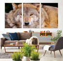 Wild Wolf Wall Art Canvas Print, Framed Canvas Print, Modern by MyGreatCanvas | Canvas Wall Art Prints | Photo Prints & Wall Decor