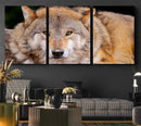 Wild Wolf Wall Art Canvas Print, Framed Canvas Print, Modern by MyGreatCanvas | Canvas Wall Art Prints | Photo Prints & Wall Decor
