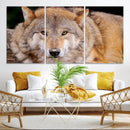 Wild Wolf Wall Art Canvas Print, Framed Canvas Print, Modern by MyGreatCanvas | Canvas Wall Art Prints | Photo Prints & Wall Decor