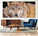 Wild Wolf Wall Art Canvas Print, Framed Canvas Print, Modern by MyGreatCanvas | Canvas Wall Art Prints | Photo Prints & Wall Decor