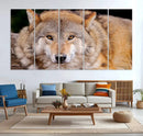 Wild Wolf Wall Art Canvas Print, Framed Canvas Print, Modern by MyGreatCanvas | Canvas Wall Art Prints | Photo Prints & Wall Decor