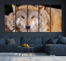 Wild Wolf Wall Art Canvas Print, Framed Canvas Print, Modern by MyGreatCanvas | Canvas Wall Art Prints | Photo Prints & Wall Decor