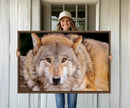 Wild Wolf Wall Art Canvas Print, Framed Canvas Print, Modern by MyGreatCanvas | Canvas Wall Art Prints | Photo Prints & Wall Decor