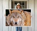 Wild Wolf Wall Art Canvas Print, Framed Canvas Print, Modern by MyGreatCanvas | Canvas Wall Art Prints | Photo Prints & Wall Decor