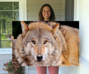 Wild Wolf Wall Art Canvas Print, Framed Canvas Print, Modern by MyGreatCanvas | Canvas Wall Art Prints | Photo Prints & Wall Decor