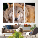Wild Wolf Wall Art Canvas Print, Framed Canvas Print, Modern by MyGreatCanvas | Canvas Wall Art Prints | Photo Prints & Wall Decor