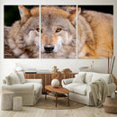 Wild Wolf Wall Art Canvas Print, Framed Canvas Print, Modern by MyGreatCanvas | Canvas Wall Art Prints | Photo Prints & Wall Decor