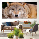 Wild Wolf Wall Art Canvas Print, Framed Canvas Print, Modern by MyGreatCanvas | Canvas Wall Art Prints | Photo Prints & Wall Decor