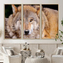 Wild Wolf Wall Art Canvas Print, Framed Canvas Print, Modern by MyGreatCanvas | Canvas Wall Art Prints | Photo Prints & Wall Decor