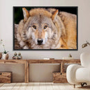 Wild Wolf Wall Art Canvas Print, Framed Canvas Print, Modern by MyGreatCanvas | Canvas Wall Art Prints | Photo Prints & Wall Decor
