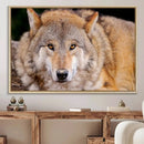 Wild Wolf Wall Art Canvas Print, Framed Canvas Print, Modern by MyGreatCanvas | Canvas Wall Art Prints | Photo Prints & Wall Decor