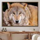 Wild Wolf Wall Art Canvas Print, Framed Canvas Print, Modern by MyGreatCanvas | Canvas Wall Art Prints | Photo Prints & Wall Decor