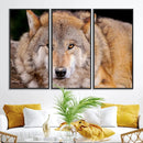 Wild Wolf Wall Art Canvas Print, Framed Canvas Print, Modern by MyGreatCanvas | Canvas Wall Art Prints | Photo Prints & Wall Decor
