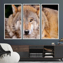 Wild Wolf Wall Art Canvas Print, Framed Canvas Print, Modern by MyGreatCanvas | Canvas Wall Art Prints | Photo Prints & Wall Decor