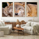 Wild Wolf Wall Art Canvas Print, Framed Canvas Print, Modern by MyGreatCanvas | Canvas Wall Art Prints | Photo Prints & Wall Decor