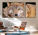 Wild Wolf Wall Art Canvas Print, Framed Canvas Print, Modern by MyGreatCanvas | Canvas Wall Art Prints | Photo Prints & Wall Decor