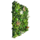 Sample Panel – Wild Tropics Vertical Garden (Small Sample) by Designer Plants USA
