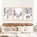 Winter Woodland Photo Set of 3. Fawn, Dog Sledding by Wall Art Set
