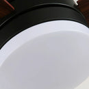 Wood Blade Ceiling Fan Light