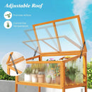 Wood Cold Frame Greenhouse with Transparent Openable Roof and Slatted Storage Shelf-Orange by LJGDeals