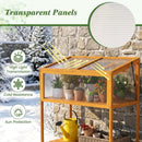 Wood Cold Frame Greenhouse with Transparent Openable Roof and Slatted Storage Shelf-Orange by LJGDeals