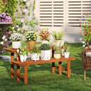 2-Tier Wood Plant Stand Ladder Plant Shelf for Indoor Outdoor