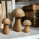 Whimsical Wooden Mushrooms, Set of 3 by Decor Steals