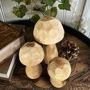 Whimsical Wooden Mushrooms, Set of 3 by Decor Steals