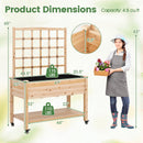 Wooden Mobile Raised Garden Bed on Wheels with Trellis by DirectDeals