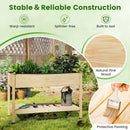 Wooden Raised Garden Bed with Legs and Lockable Wheels-Natural by LJGDeals