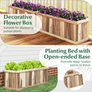 Wooden Raised Garden Bed Natural Acacia Wood Rectangular Planter Box with Drainage-Natural by LJGDeals