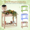 Wooden Raised Garden Bed with Legs and Storage Shelf by LJGDeals