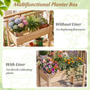 Wooden Raised Garden Bed with Legs and Storage Shelf by LJGDeals