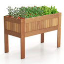 Wooden Raised Garden Bed Solid Wood Elevated Planter Box with Legs by LJGDeals