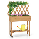 Wooden Rolling Raised Garden Bed with Trellis and Storage Shelf by LJGDeals
