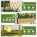 Wooden Rolling Raised Garden Bed with Trellis and Storage Shelf by DirectDeals