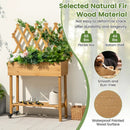 Wooden Rolling Raised Garden Bed with Trellis and Storage Shelf by LJGDeals