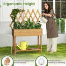 Wooden Rolling Raised Garden Bed with Trellis and Storage Shelf by LJGDeals
