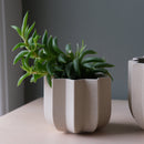 Wrap Planter - 4 sizes