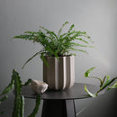 Wrap Planter - 4 sizes