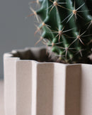 Wrap Planter - 4 sizes