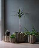 Wrap Planter - 4 sizes