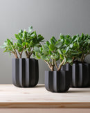 Wrap Planter - 4 sizes
