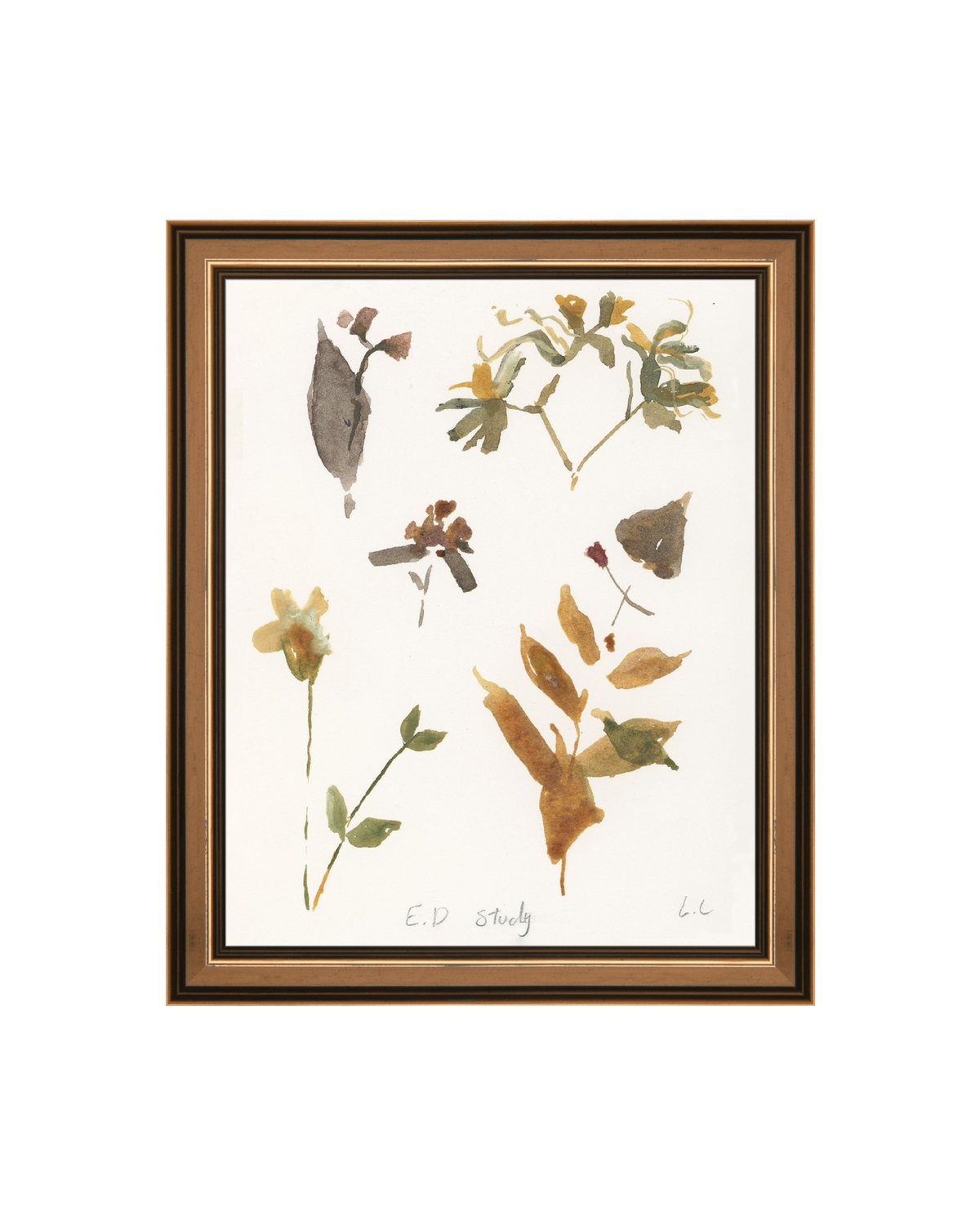 E.D Botanical Study, photo 21 of 34